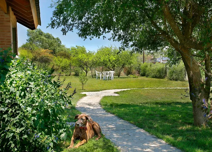 Cabana Para Relajarse Con Vista Panoramica